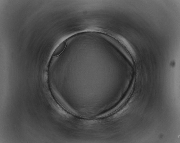 X0000101091292200807171839