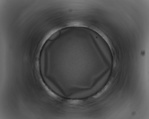 X0000101091293200807171839