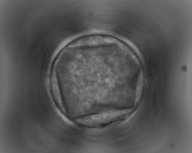 X0000101091294200807171839