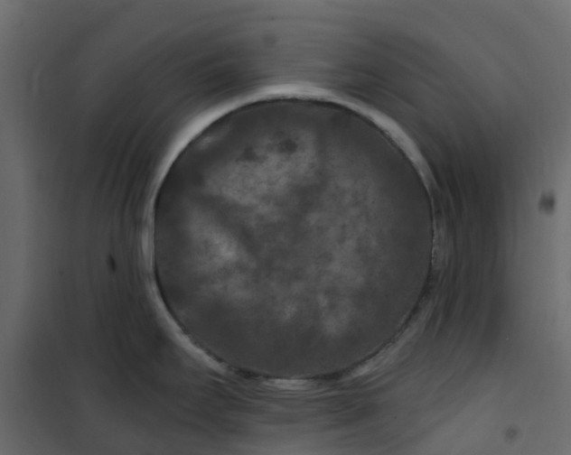 X0000101091295200807171839