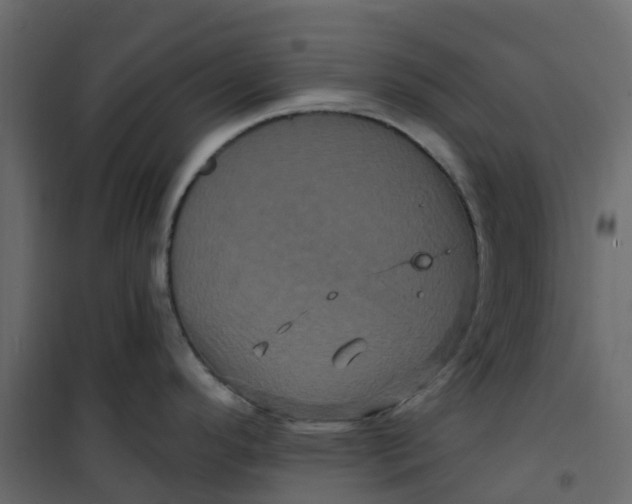 X0000101091296200807171839