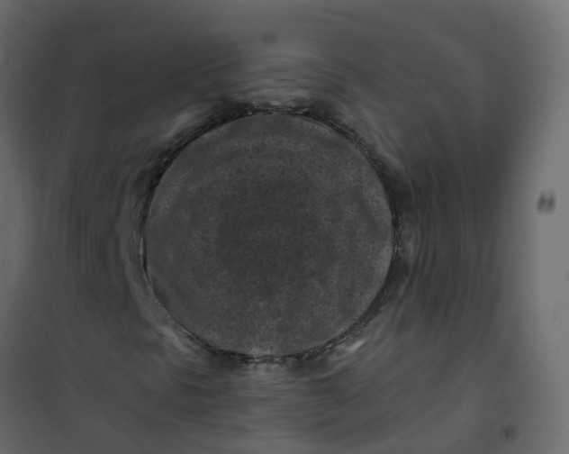 X0000101091297200807171838