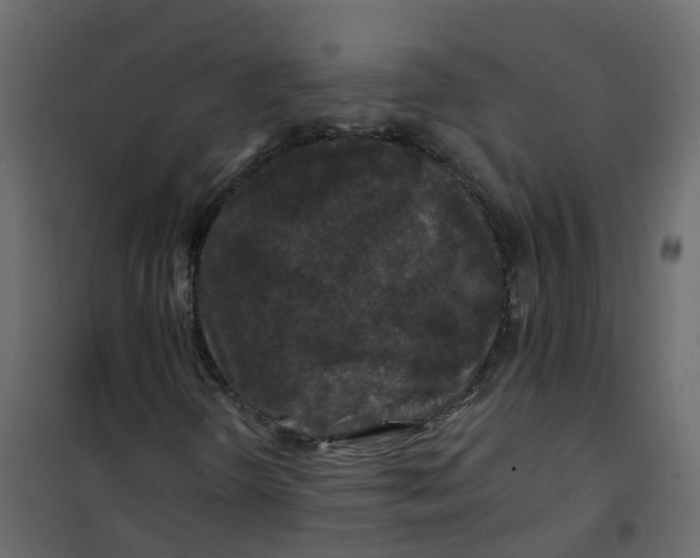 X0000101091298200807171838