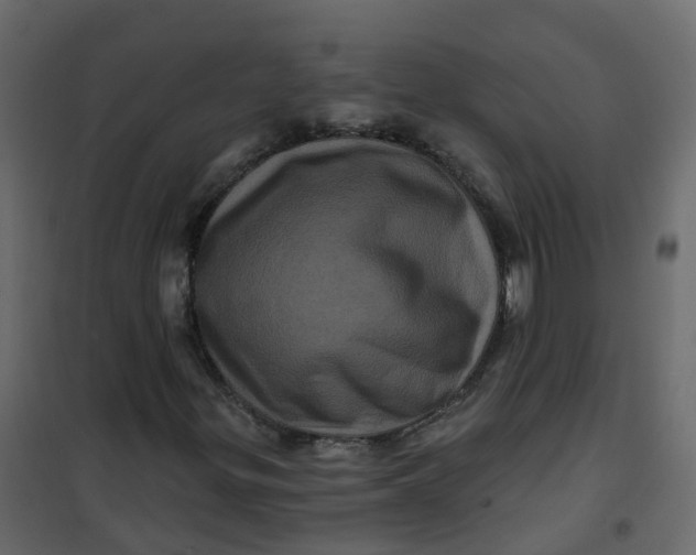 X0000101091299200807171838