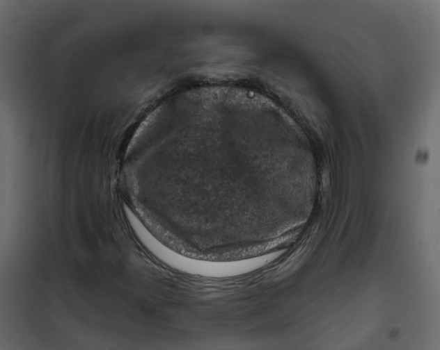 X0000101091300200807171838