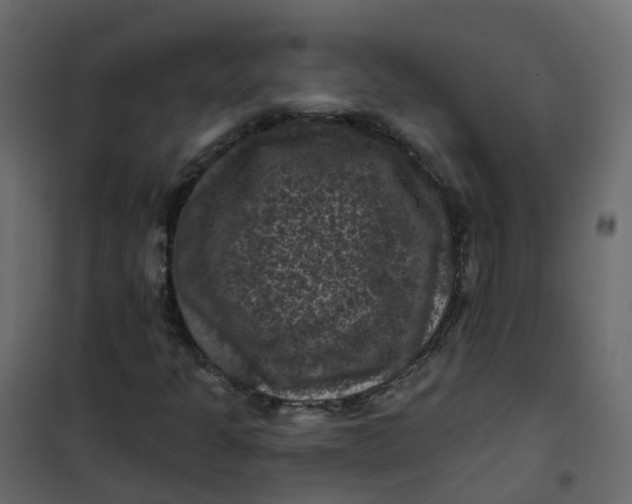 X0000101091301200807171838