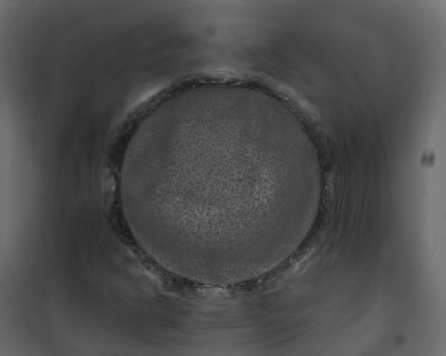 X0000101091302200807171838