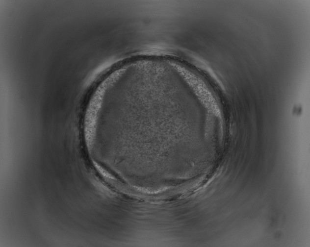 X0000101091304200807171838