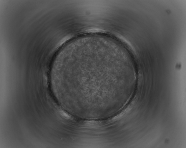 X0000101091305200807171838