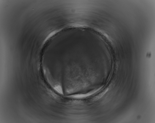 X0000101091306200807171838