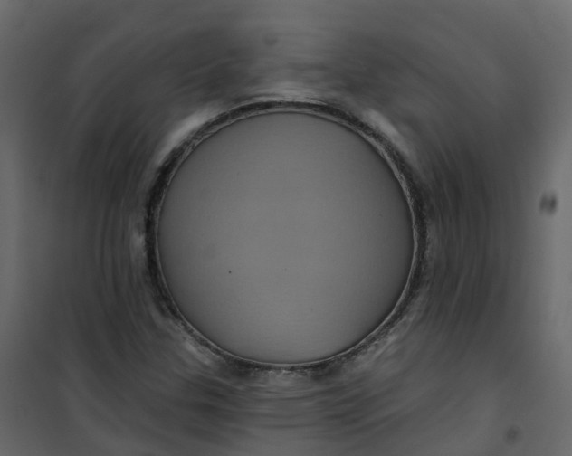 X0000101091307200807171838