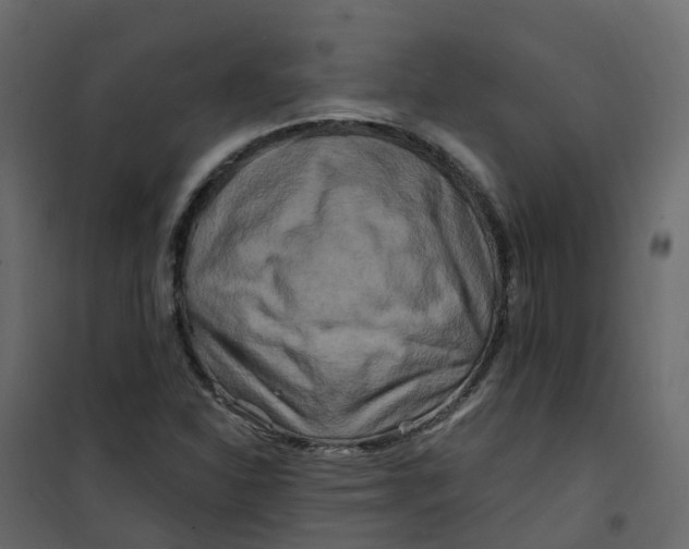 X0000101091310200807171838