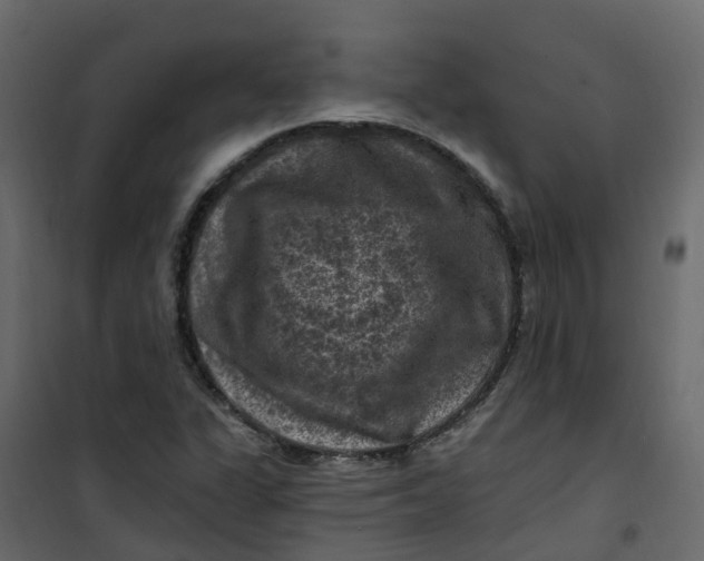 X0000101091311200807171838