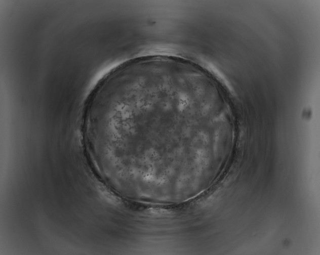 X0000101091312200807171838