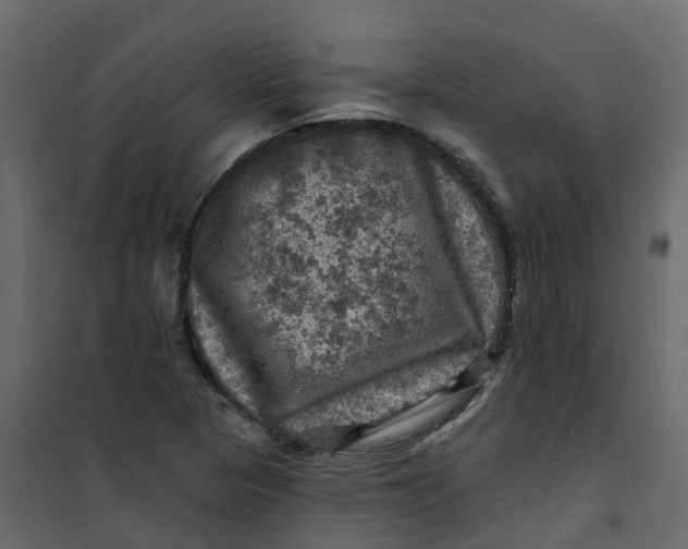 X0000101091313200807171838