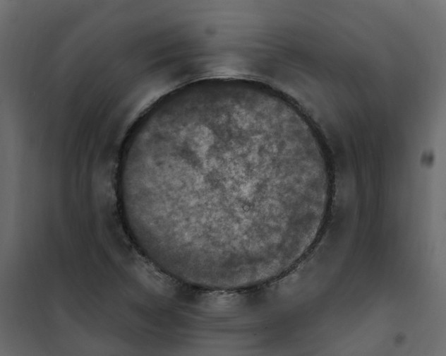 X0000101091314200807171838