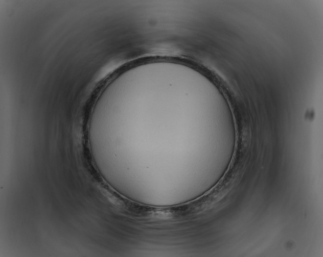 X0000101091315200807171838