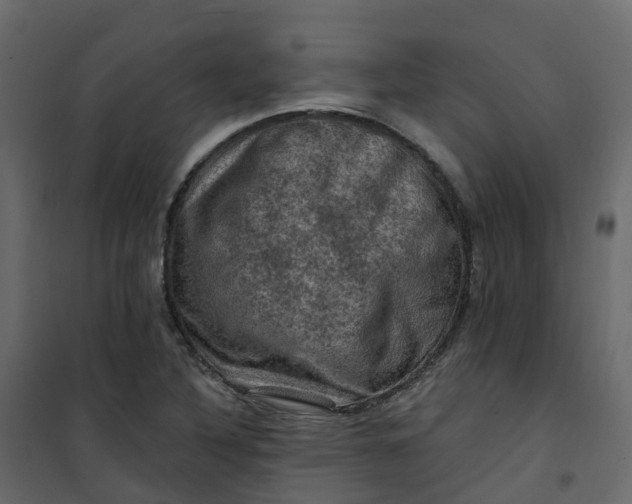 X0000101091316200807171838