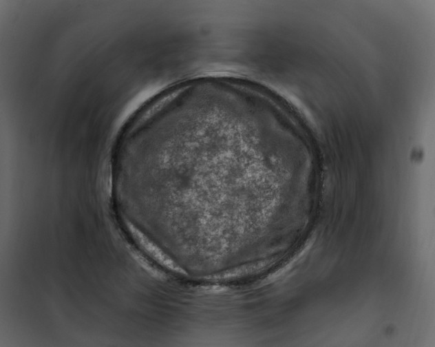 X0000101091317200807171838