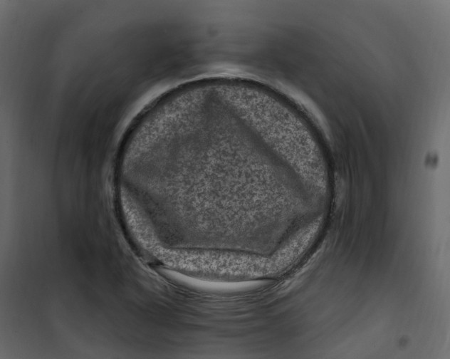 X0000101091318200807171838