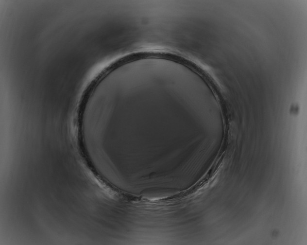 X0000101091319200807171838