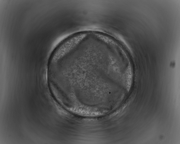 X0000101091320200807171838