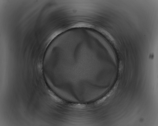 X0000101091321200807171838