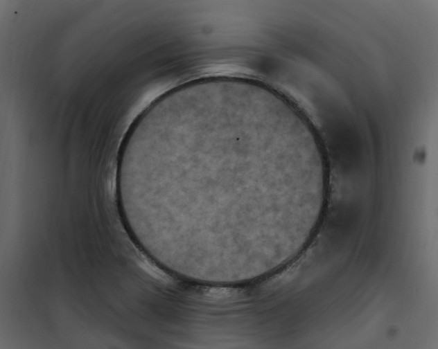 X0000101091322200807171838