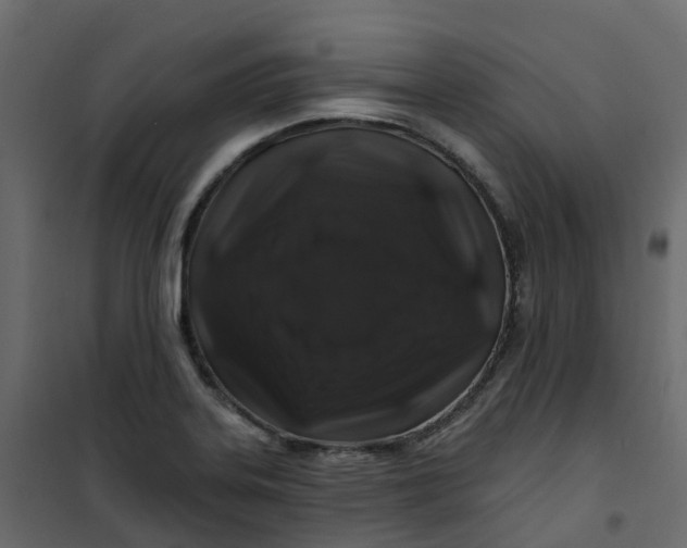 X0000101091323200807171838