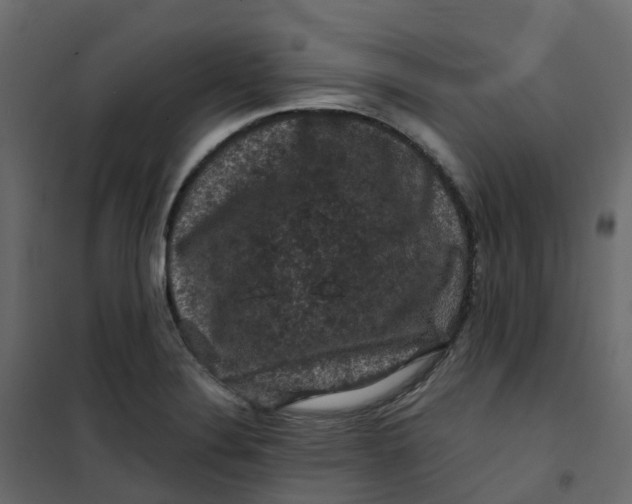 X0000101091324200807171838