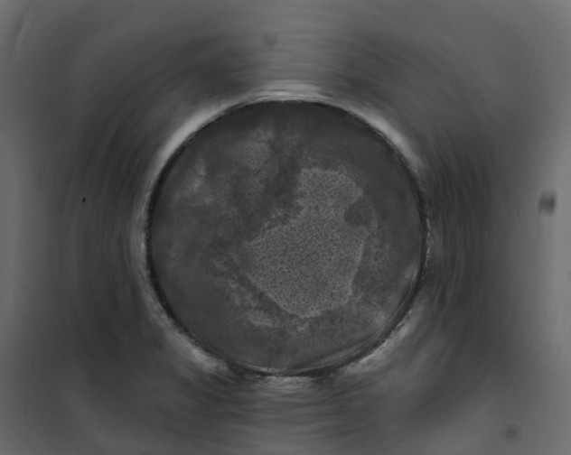 X0000101091325200807171839