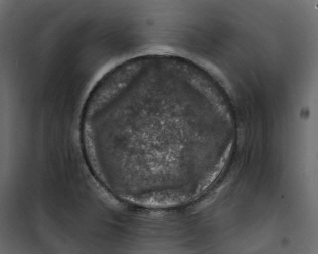 X0000101091326200807171839