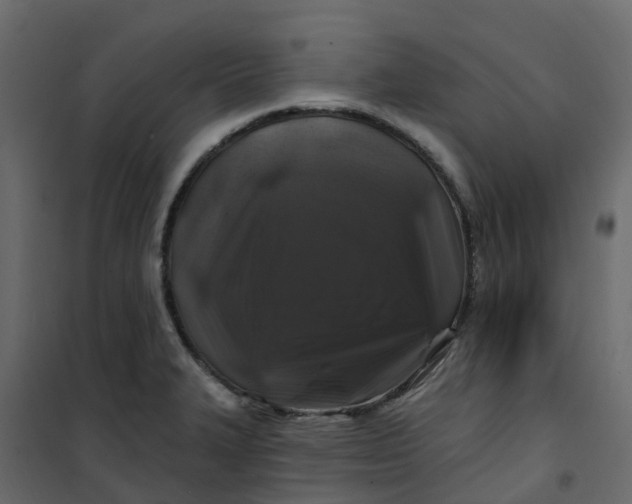 X0000101091327200807171839