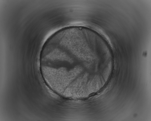 X0000101091328200807171839