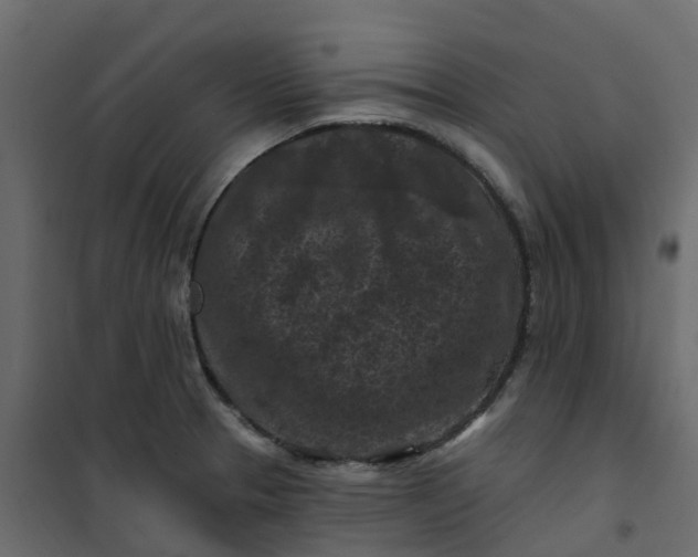 X0000101091329200807171839