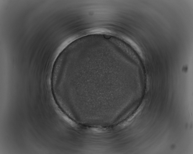 X0000101091330200807171839