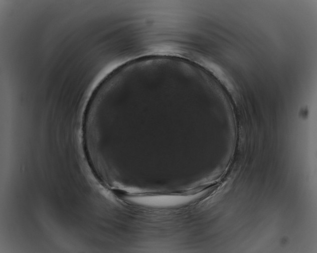 X0000101091331200807171839