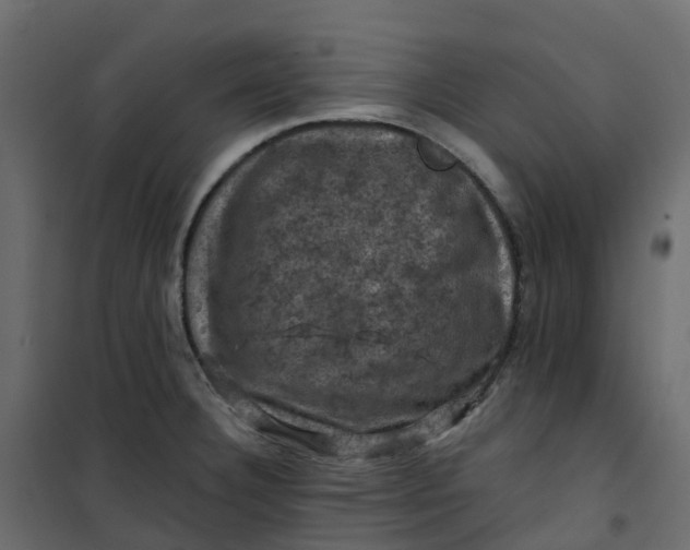 X0000101091332200807171839