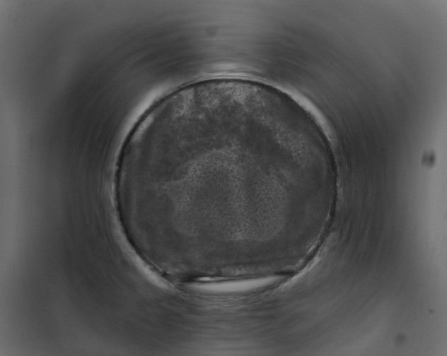 X0000101091333200807171839