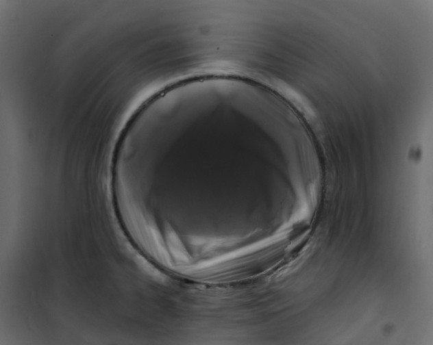 X0000101091334200807171839