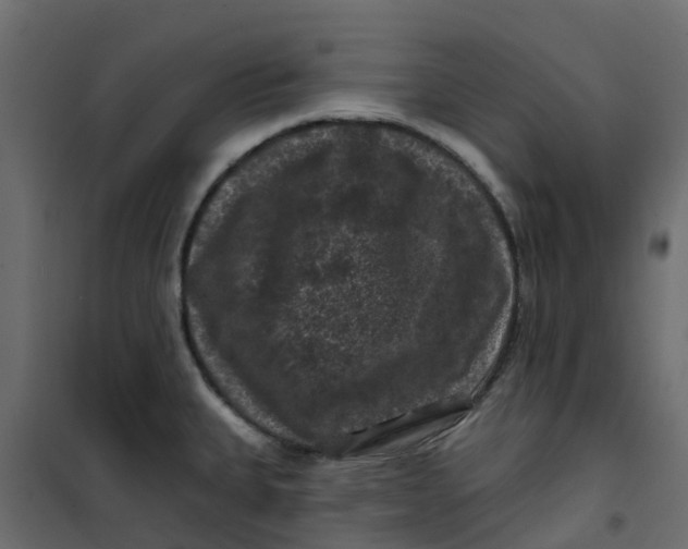 X0000101091335200807171839