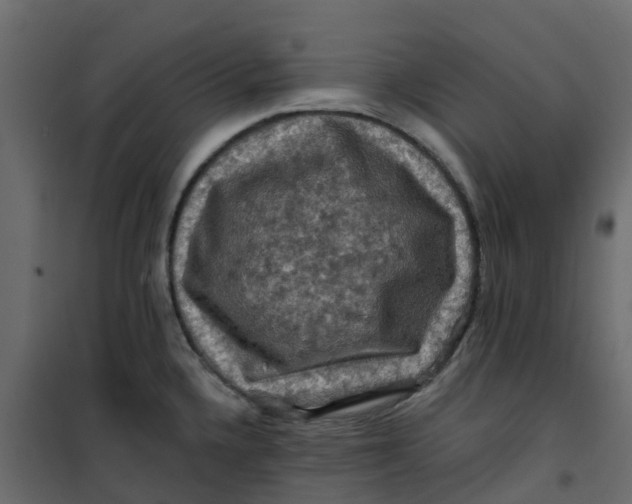 X0000101091336200807171839