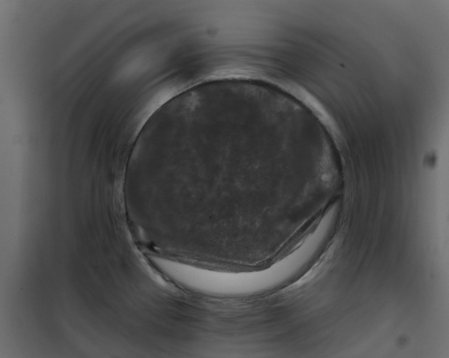 X0000101091337200807171839