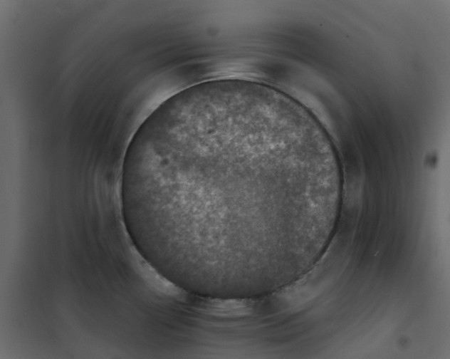 X0000101091338200807171839