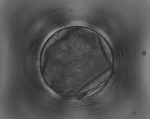 X0000101091339200807171839