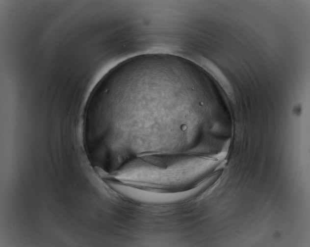 X0000101091340200807171839