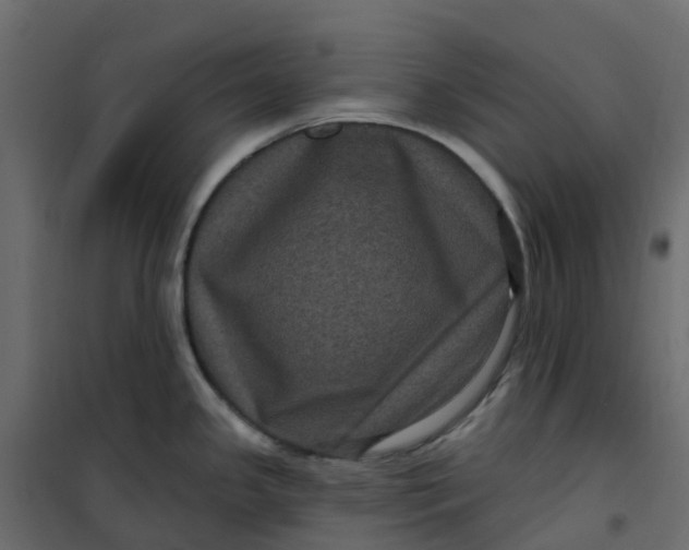 X0000101091341200807171839