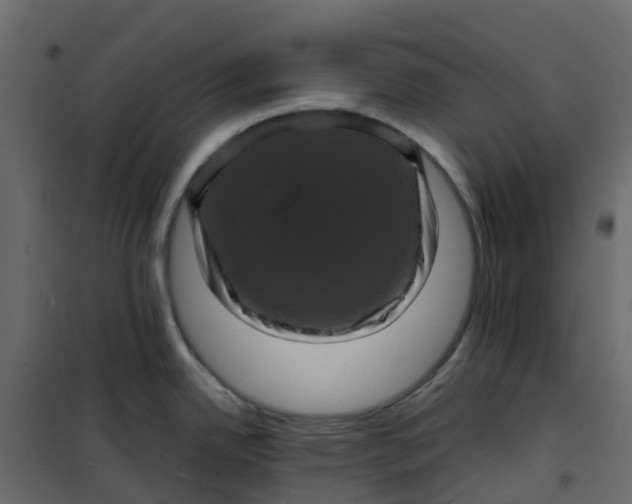 X0000101091342200807171839