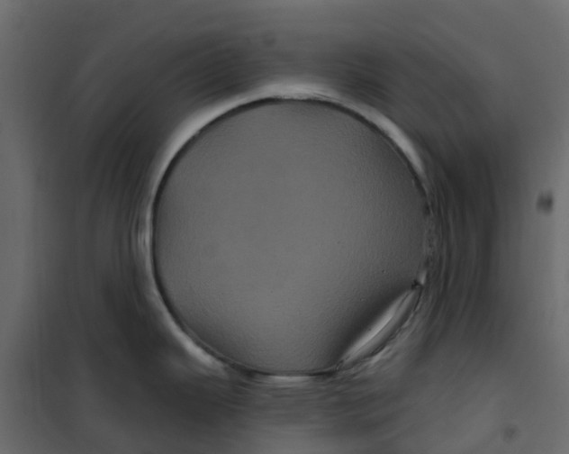 X0000101091343200807171839