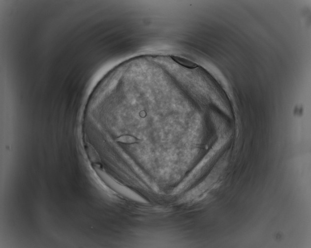 X0000101091344200807171839